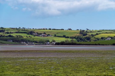 Open seabed after low tide, swampy area. Green hilly landscape on a sunny summer day. White clouds in a sky. Irish landscape. The coast of Clonakilty Bay.