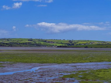 Open seabed after low tide, swampy area. Green hilly landscape on a sunny summer day. White cumulus clouds in a blue sky. Irish landscape. The coast of Clonakilty Bay.