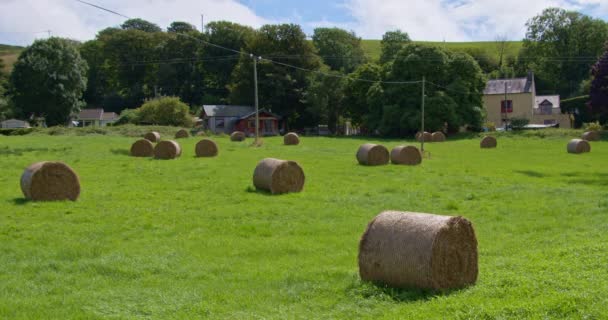 Stacks Dry Hay Green Farmer Field Irish Village Sunny Summer — стокове відео