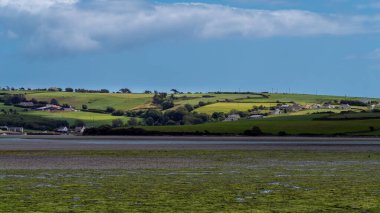 Open seabed after low tide, swampy area. Green hilly landscape on a sunny summer. White clouds in a sky. Irish landscape. The coast of Clonakilty Bay.