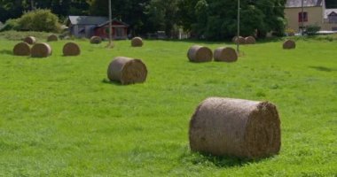 Stacks of dry hay on a green farmer's field in an Irish village on a sunny summer day. Hay rolls.