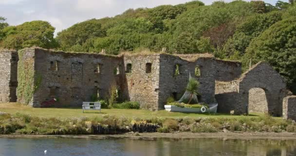 Decorative White Boat Flowers Ancient Stone Ruins Ireland Ruins Arundel — Αρχείο Βίντεο