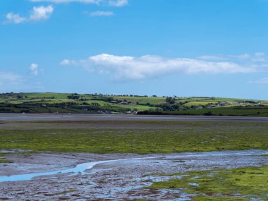 Open seabed after low tide, swampy area. Green hilly landscape on a sunny summer day. White cumulus clouds in a sky. Irish landscape. The coast of Clonakilty Bay.