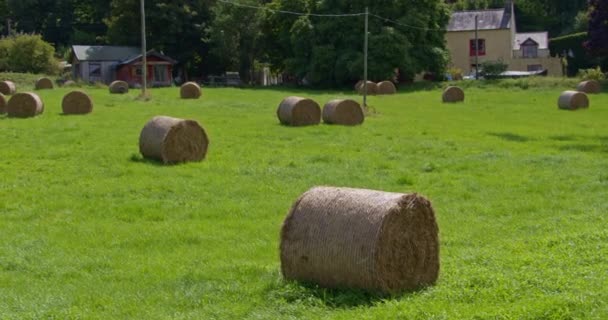 Stacks Hay Green Farmer Field Irish Village Sunny Summer Day — Stock videók
