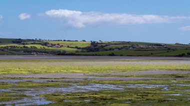 Open seabed after low tide, swampy area. Green hill, landscape. White clouds in a sky. Irish landscape. The coast of Clonakilty Bay.
