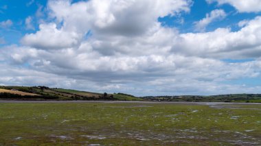 Open seabed after low tide, swamp area. Green hilly landscape on a summer. White cumulus clouds in a blue sky. Irish landscape. The coast of Clonakilty Bay, County Cork. European landscape