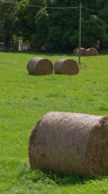 Stacks of dry hay on a green farmer's field in an Irish village on a sunny summer day. Hay rolls. Vertical video.