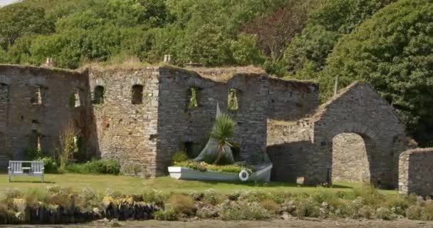 Διακοσμητικό Σκάφος Λουλούδια Κοντά Αρχαία Πέτρινα Ερείπια Στην Ιρλανδία Ερείπια — Αρχείο Βίντεο