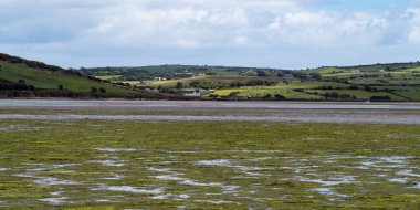 Open seabed after low tide, swamp. Green hill. White clouds in a sky. Irish landscape. The coast of Clonakilty Bay.