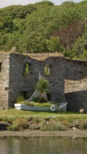 Decorative White Boat Flowers Ancient Stone Ruins Ireland Ruins Arundel — Stok video