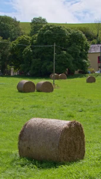 Stacks Hay Green Farmer Field Irish Village Sunny Summer Day — Stock Video