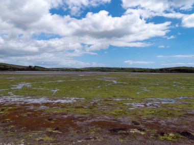 Open seabed, low tide, swamp. Green hill. White clouds in a sky. Irish landscape. The coast of Clonakilty Bay.