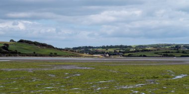 Open seabed after low tide, swamp area. Green hilly landscape. White cumulus clouds, blue sky. Irish landscape. The coast of Clonakilty Bay, County Cork. European landscape