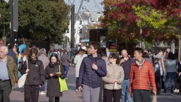 爱尔兰 2022年9月30日 在一个阳光明媚的秋日清晨 不同种族和性别的人们在一座爱尔兰城市的街道上漫步 城市街道上的公民 — 图库视频影像