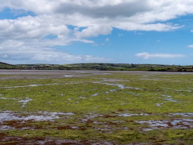 Open seabed after low tide, swamp area. Green hilly landscape on a sunny summer day. White cumulus clouds in a blue sky. Irish landscape. The coast of Clonakilty Bay, County Cork. European landscape