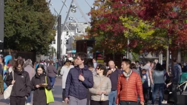 Cork Ireland September 2022 People Various Races Genders Walk Street — Videoclip de stoc