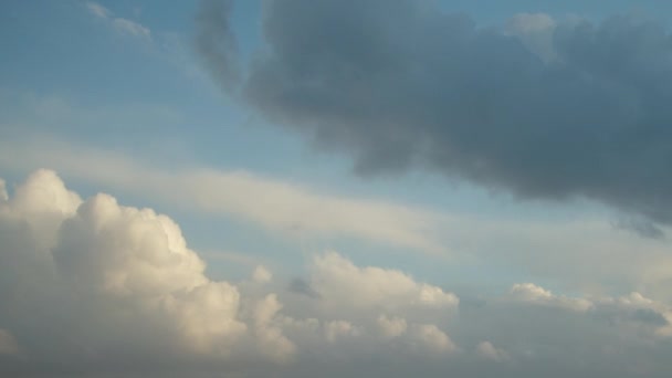 Beautiful Cumulus Clouds Move Quickly Sky Dawn Video Timelapse Morning — Wideo stockowe