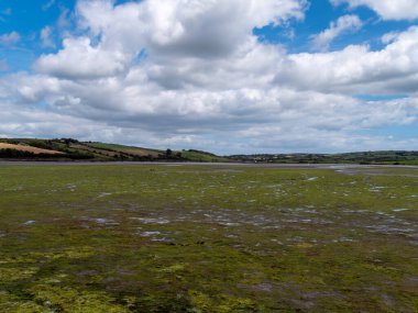 Open seabed after low tide, swamp area. Green hilly landscape, summer. White cumulus clouds in a blue sky. Irish landscape. The coast of Clonakilty Bay, County Cork. European landscape