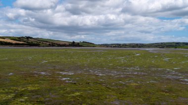 Open seabed after low tide, swamp area. Green hilly landscape. White cumulus clouds in a blue sky. Irish landscape. The coast of Clonakilty Bay, County Cork. European landscape