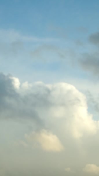 Timelapse Porannego Nieba Dryfującymi Chmurami Pionowe Wideo — Wideo stockowe