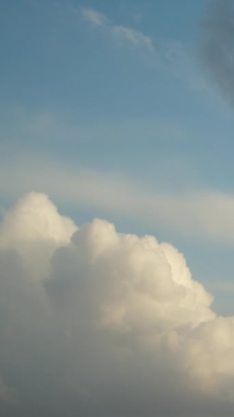 Видео Утреннего Неба Потрясающими Кучевыми Облаками Движении Вертикальное Видео — стоковое видео
