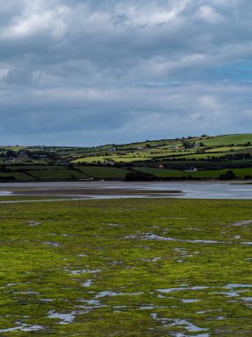 Dalgalar çekildikten sonra açık deniz yatağı, bataklık alanı. Yeşil tepe manzarası. Beyaz bulutlar, gökyüzü. County Cork kıyısında. İrlanda manzarası