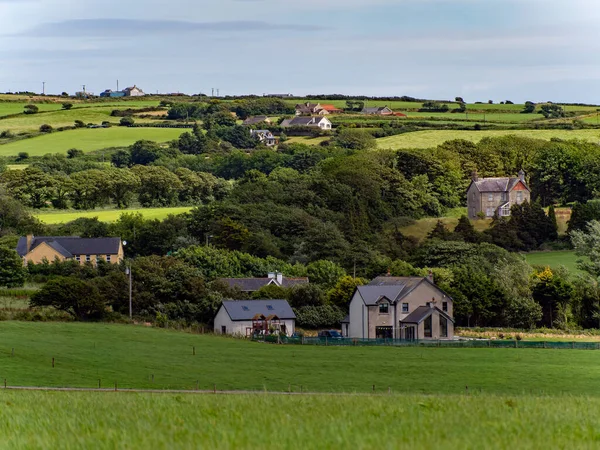 緑のフィールド 木の間でヨーロッパの村 アイルランドの農家 絵のように美しい農業風景 青空の下の緑のフィールド 緑の芝生のフィールド上の家 — ストック写真