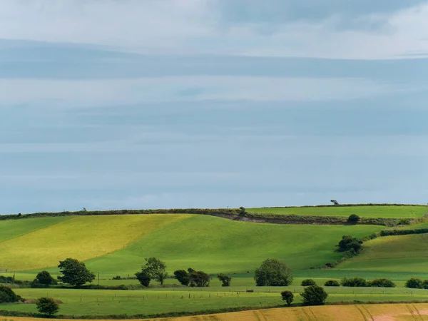 Живописный Сельскохозяйственный Ландшафт Зеленые Холмы Голубое Небо Холмистая Местность Ирландии — стоковое фото