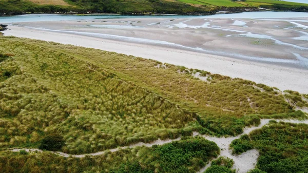 低潮时的沙洲 沙滩上覆盖着马兰草 欧洲的海滩草 水体附近的绿草 — 图库照片
