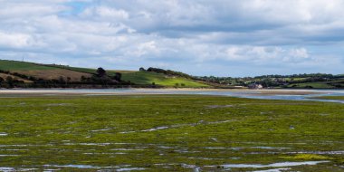 Dalgalar çekildikten sonra açık deniz yatağı, bataklık alanı. Yeşil tepe manzarası. Beyaz bulutlar, gökyüzü. County Cork Sahili.
