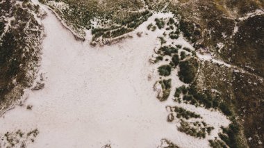 Resimli tepeler. Sert bitkiler kum tepelerinde yetişir. Tepe arazisi, en üst manzara. İrlanda 'nın güneyindeki kum tepeleri. Güzel İrlanda doğası, manzara.