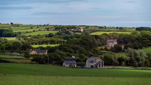 緑のフィールド 木の間でヨーロッパの村 アイルランドの農家 絵のような風景です 青空の下の緑のフィールド 緑の芝生のフィールド上の家 — ストック写真