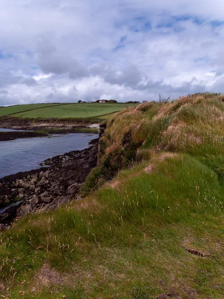 アイルランド南部の大西洋の岩場に太い草が生えています 絵のように美しい海辺の風景 美しい曇天 — ストック写真