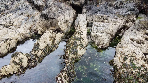 海岸沿いの美しい崖 海辺の風景 岩の海岸 水の体の横にある岩の形成 — ストック写真