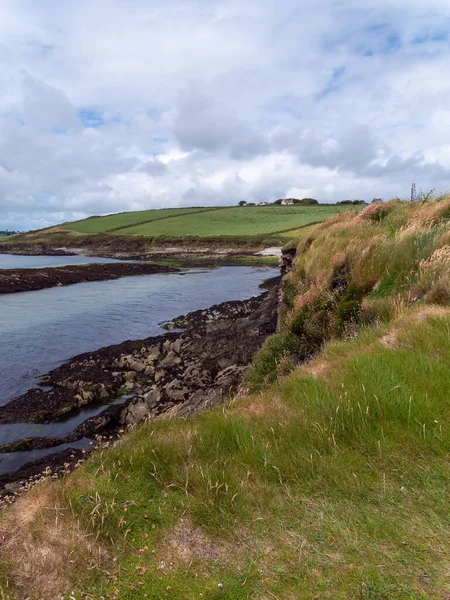 爱尔兰南部大西洋岩石海岸上的茂密的草丛 风景如画的海滨风景 美丽多云的天空 — 图库照片