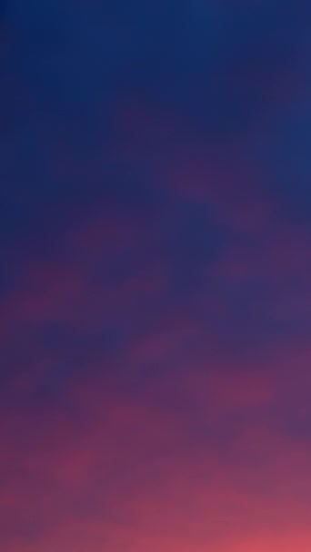 一个迷人的时间视频 清晨天空中的粉色云彩 云彩缓缓掠过蓝色背景 垂直录像 — 图库视频影像
