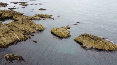 Rocky Shore, en iyi manzara. Suda büyük kayalar var. Deniz Burnu. Su üzerinde kahverengi kaya oluşumu