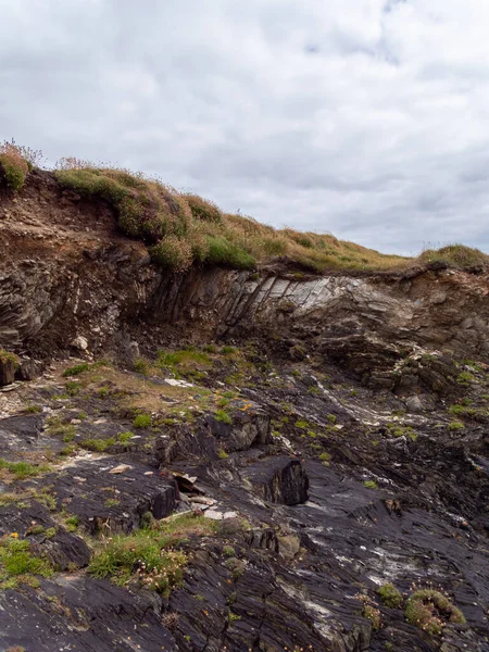 Klippig Irländsk Jord Täckt Med Tät Vild Vegetation Molnig Himmel — Stockfoto