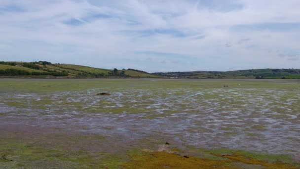 Vast Spectacular Tidal Marshland Southern Reaches Ireland Nature Beauty — Stock Video