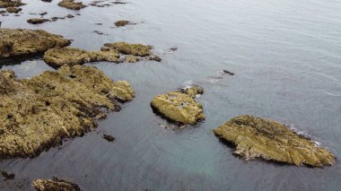 Rocky Shore, manzara. Suda büyük kayalar var. Deniz Burnu. Su üzerinde kahverengi kaya oluşumu