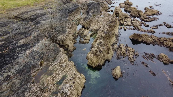 Скелястий Берег Великі Скелі Морська Миша Коричневий Камінь Воді — стокове фото