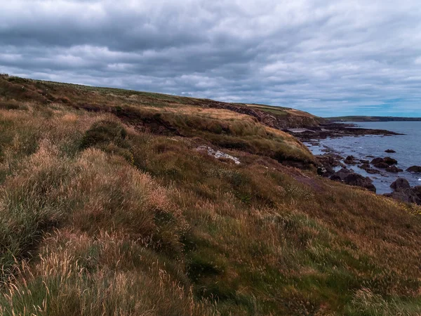 大西洋岩石海岸的植被密集 北欧的性质 海滨风景 天空下水体附近的绿草场 — 图库照片