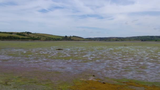 Ett Fantastiskt Landskap Med Vidsträckta Tidvattenmyrar Syn Södra Irland — Stockvideo