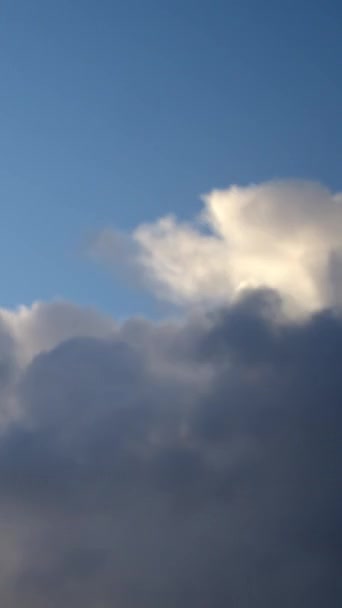 Временная Запись Пушистых Кучевых Облаков Быстро Движущихся Ясном Голубом Небе — стоковое видео