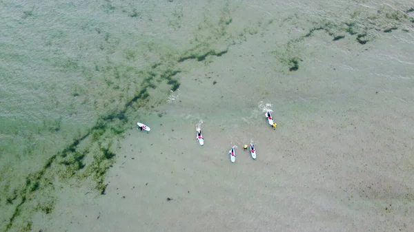 一个在海上有冲浪板的冲浪者在等待海浪 俯瞰大海 人们做水上运动 冲浪者海景 一丛簇绿藻 一张无人驾驶飞机的照片 — 图库照片
