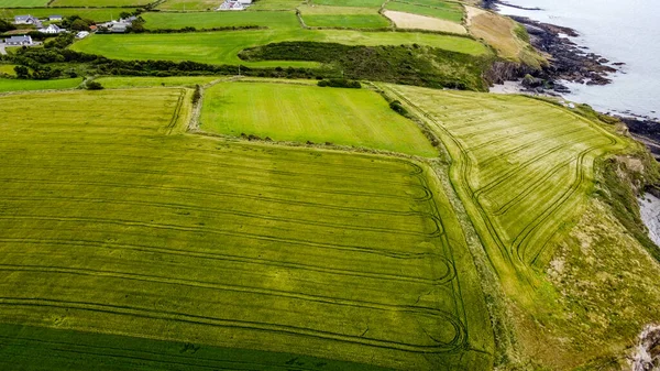 Green fields of Ireland, top view. Agricultural landscape, farm fields. Green grass field