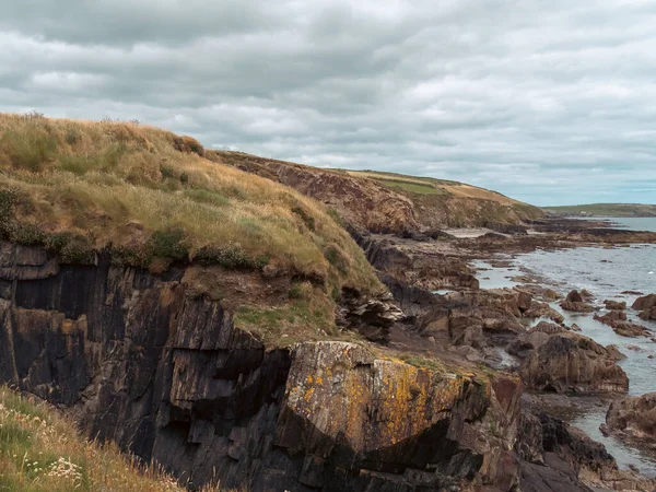 风景如画的爱尔兰海滨风景 野生植物生长在石质的土地上 海面上乌云密布的天空 关于狂野的大西洋路 云下的群山 — 图库照片