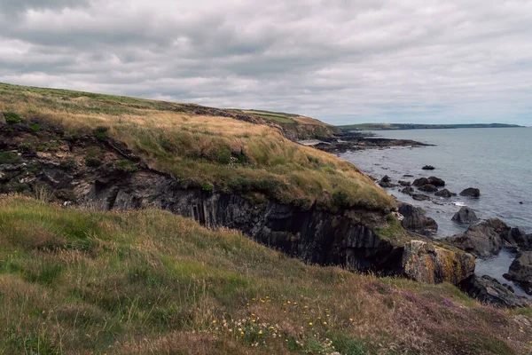 风景如画的爱尔兰海滨风景 野生植物生长在石质的土地上 多云的天空 关于野生大西洋方式的看法 — 图库照片