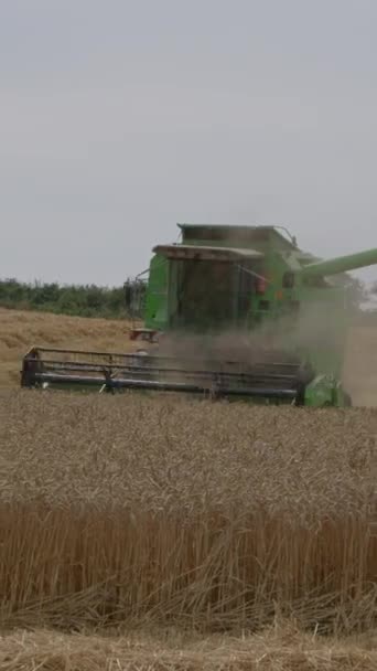 アイルランドのコーク州 2022年8月29日 1つの緑は 夏に畑で熟した小麦を脱穀します 仕事中の農業機械 収穫だ 垂直ビデオ — ストック動画
