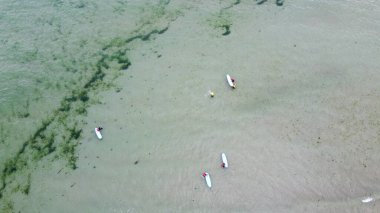 Denizde sörf tahtası olan bir sörfçü dalgaları ve manzarayı bekliyor. İnsanlar su sporları yapıyor. Sörfçüler. Deniz Burnu. Yeşil yosun kümesi, İHA 'dan bir fotoğraf..
